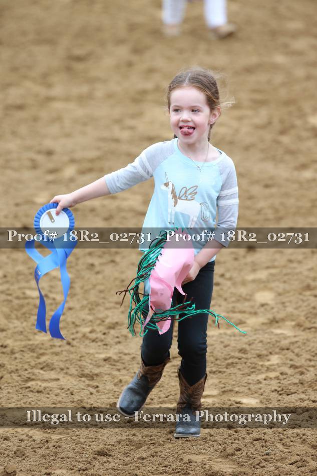 Proof Number 18R2_02731