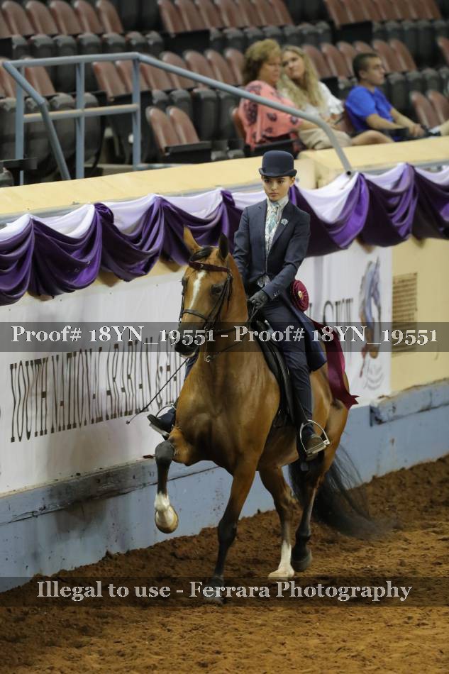 Proof Number 18YN_19551