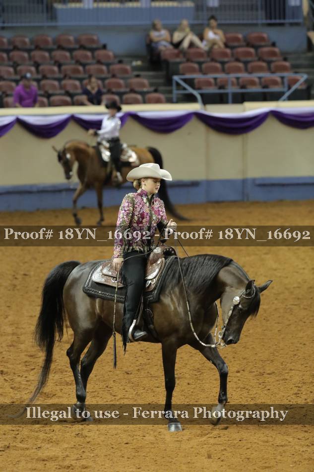 Proof Number 18YN_16692