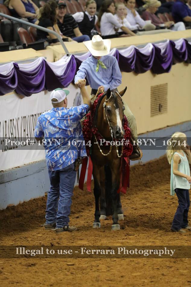 Proof Number 18YN_16714
