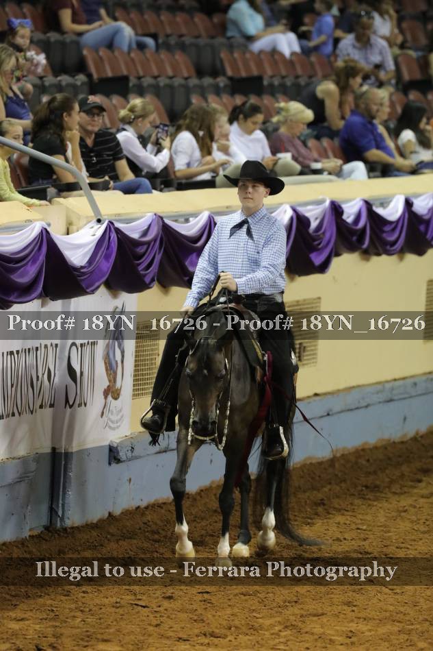 Proof Number 18YN_16726