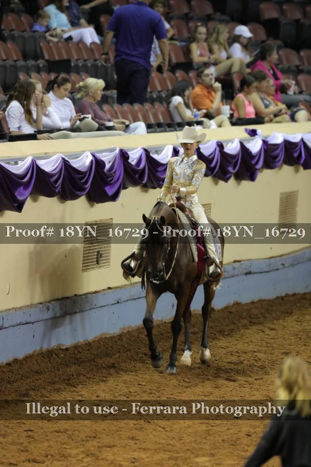 Proof Number 18YN_16729