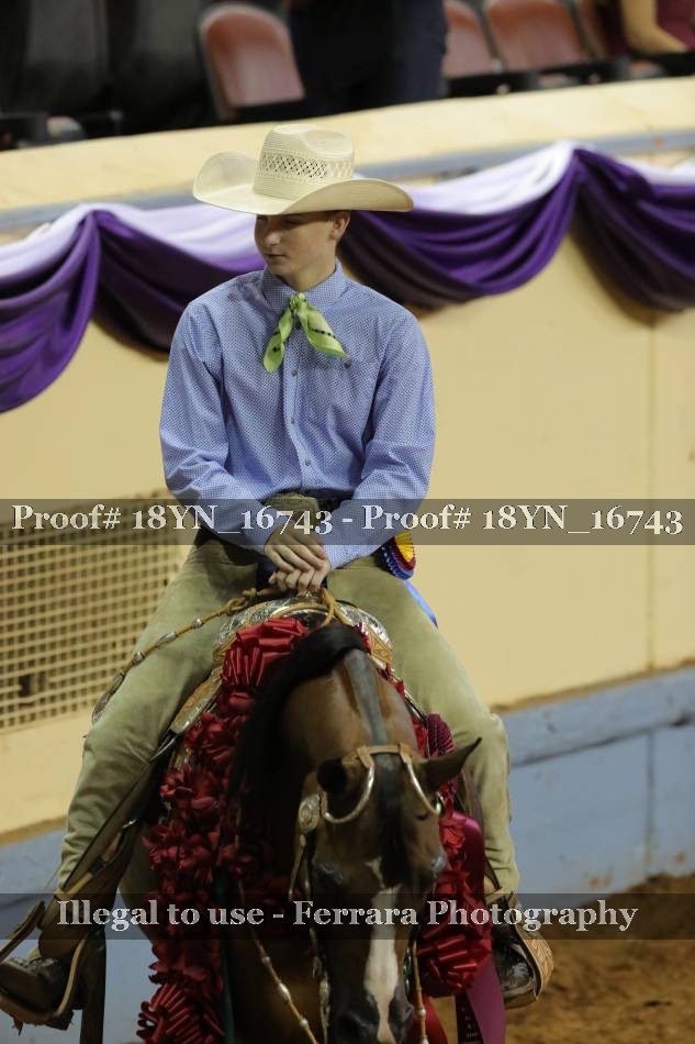 Proof Number 18YN_16743