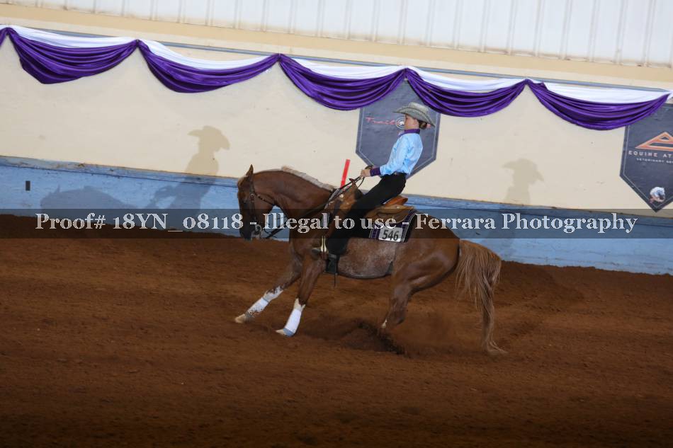 Proof Number 18YN_08118