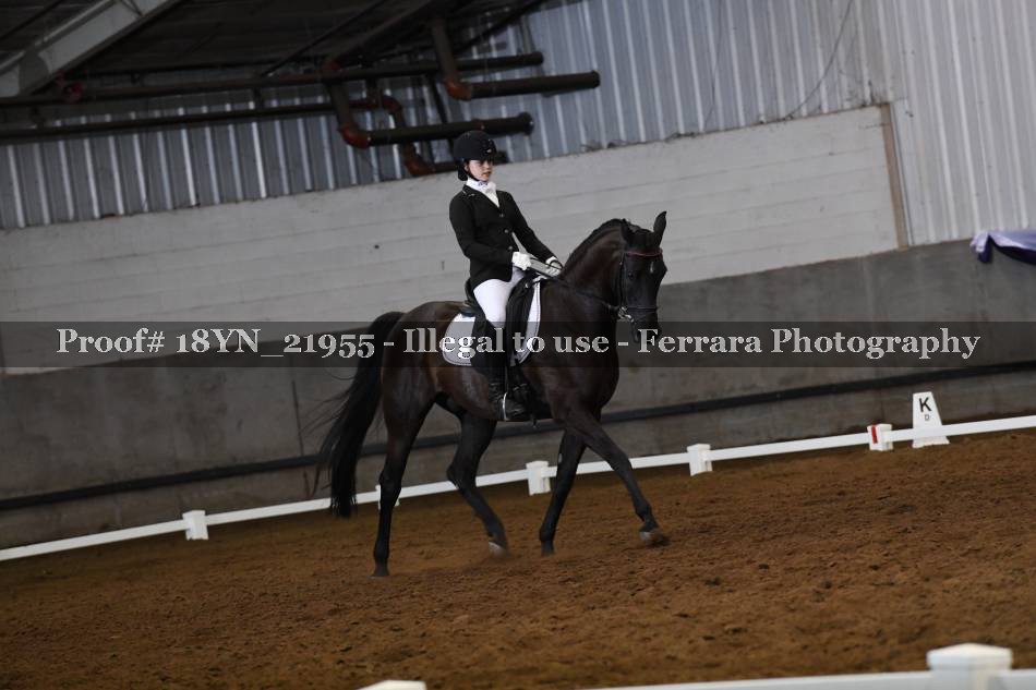 Proof Number 18YN_21955