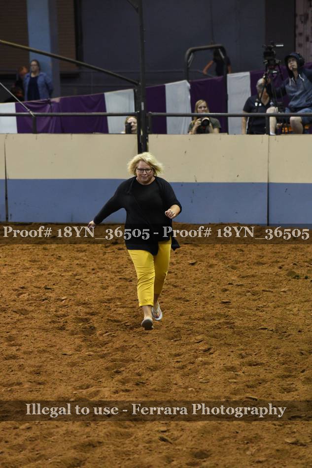 Proof Number 18YN_36505