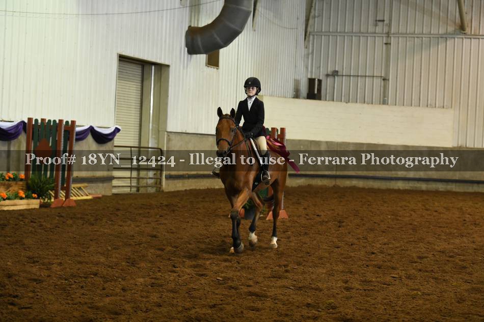 Proof Number 18YN_12424