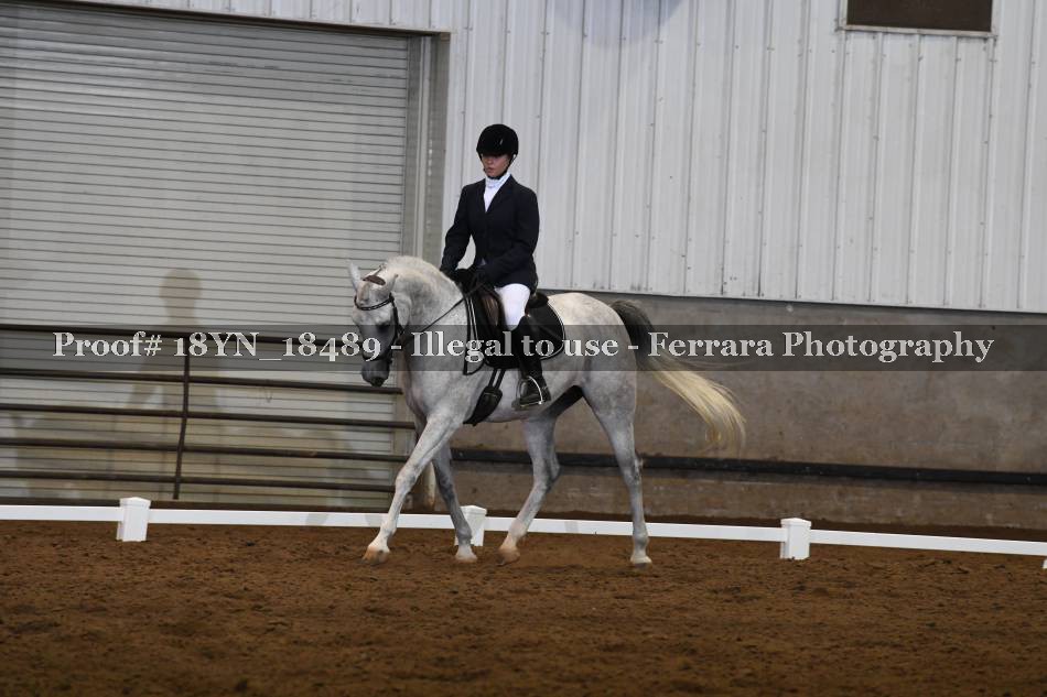Proof Number 18YN_18489