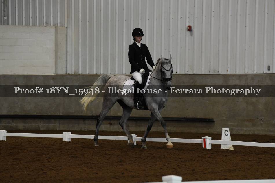 Proof Number 18YN_15948