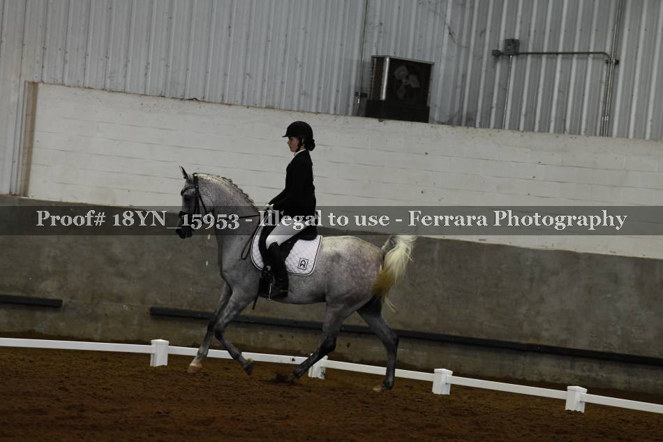 Proof Number 18YN_15953