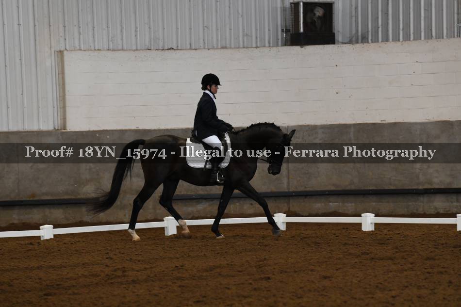 Proof Number 18YN_15974