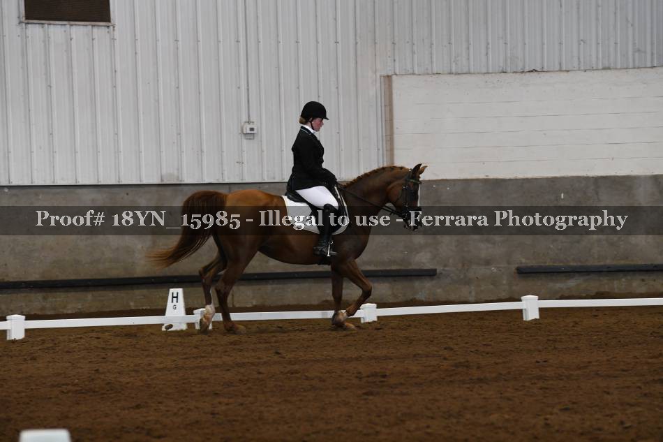Proof Number 18YN_15985
