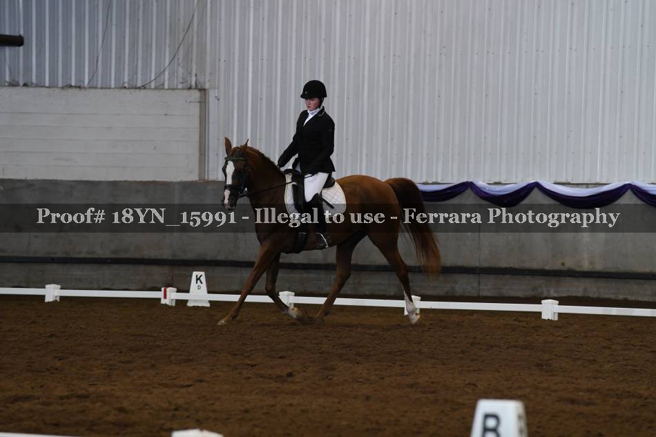 Proof Number 18YN_15991