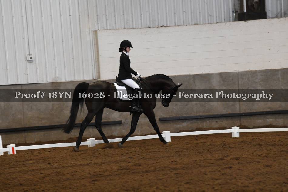 Proof Number 18YN_16028