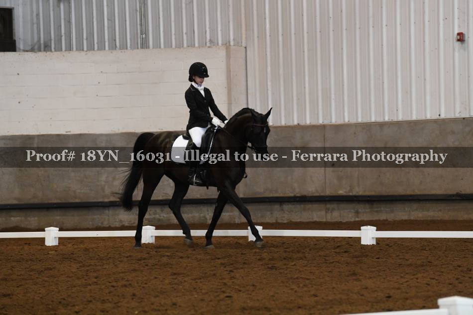 Proof Number 18YN_16031