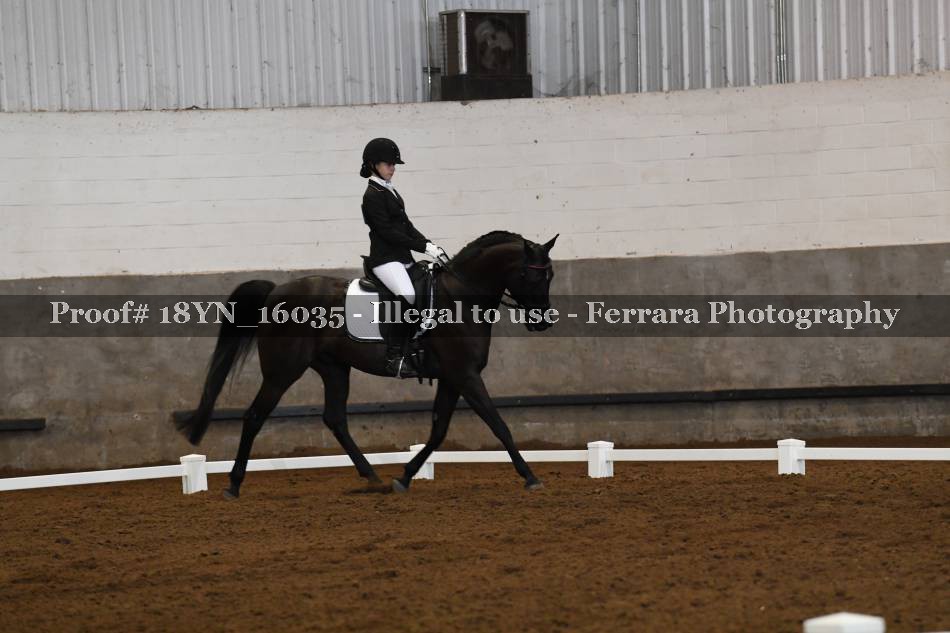Proof Number 18YN_16035