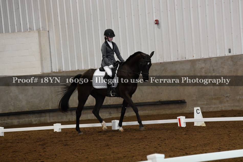 Proof Number 18YN_16050