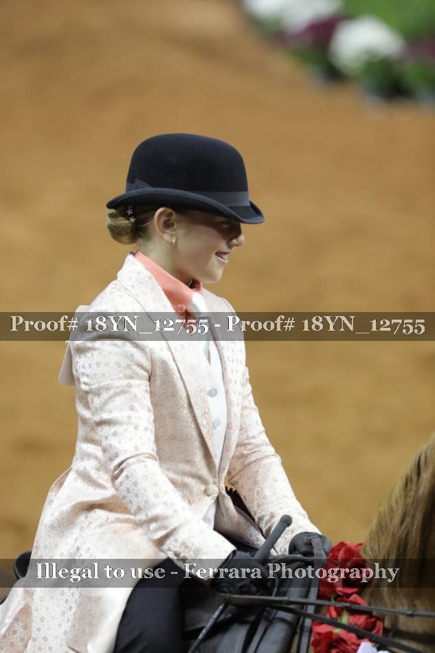 Proof Number 18YN_12755