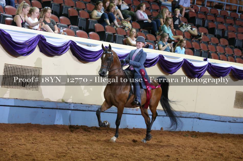 Proof Number 18YN_12770