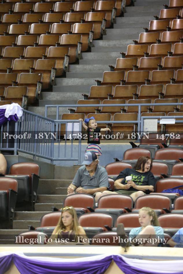 Proof Number 18YN_14782