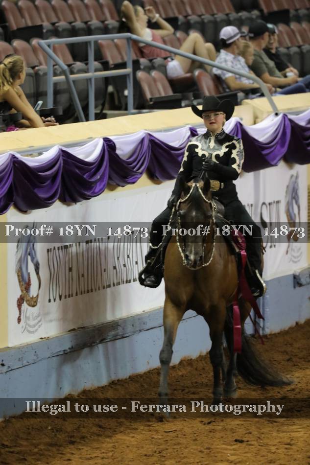 Proof Number 18YN_14873