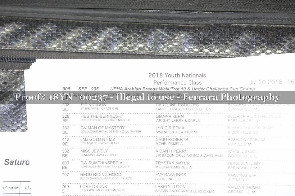 Proof Number 18YN_00237