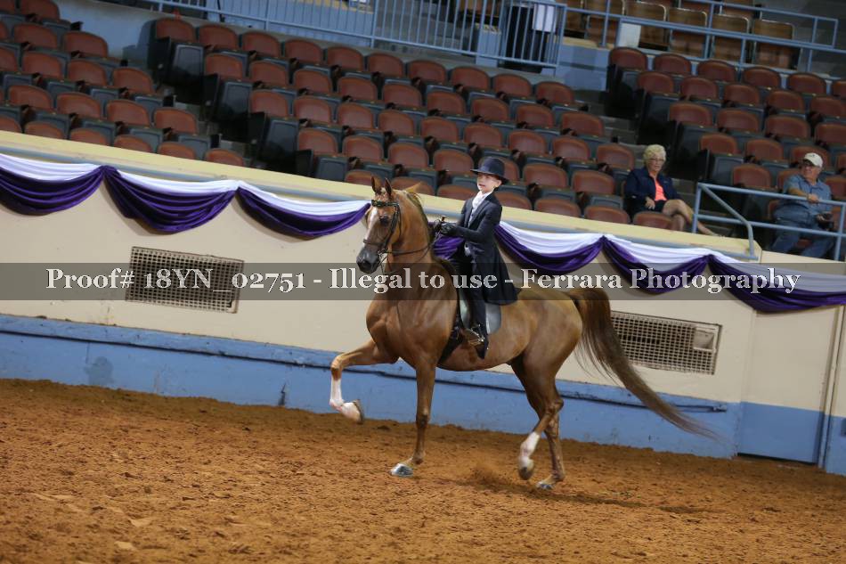 Proof Number 18YN_02751