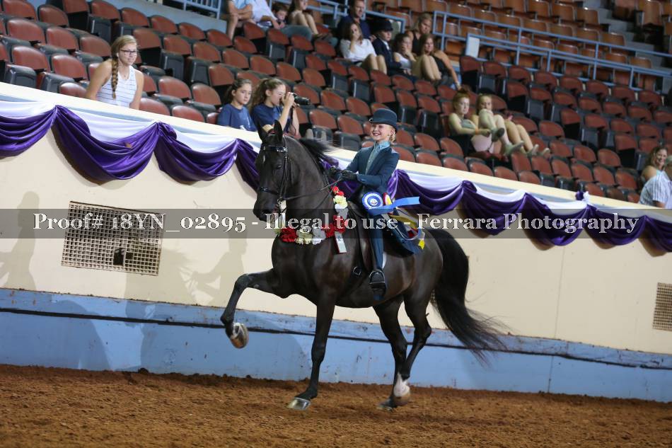 Proof Number 18YN_02895