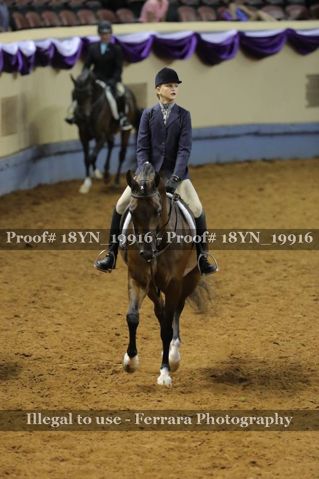 Proof Number 18YN_19916