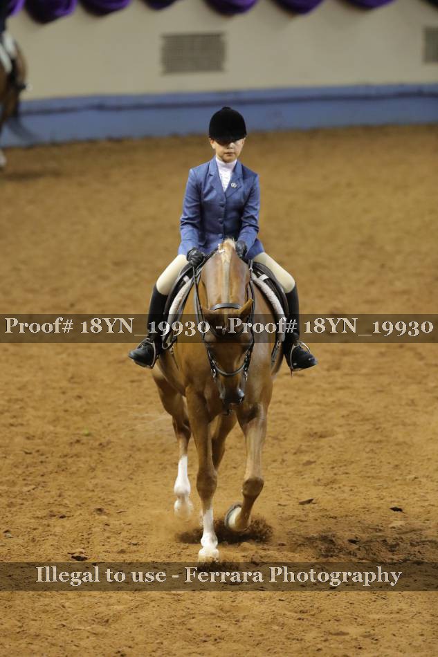 Proof Number 18YN_19930