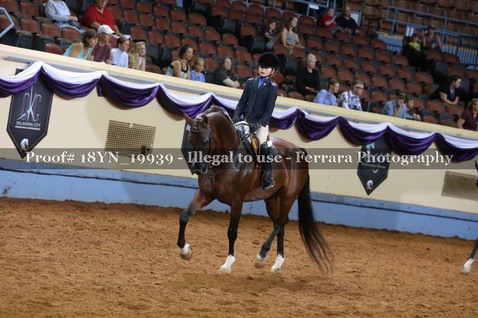 Proof Number 18YN_19939