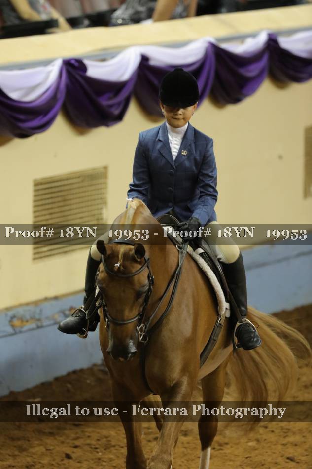 Proof Number 18YN_19953