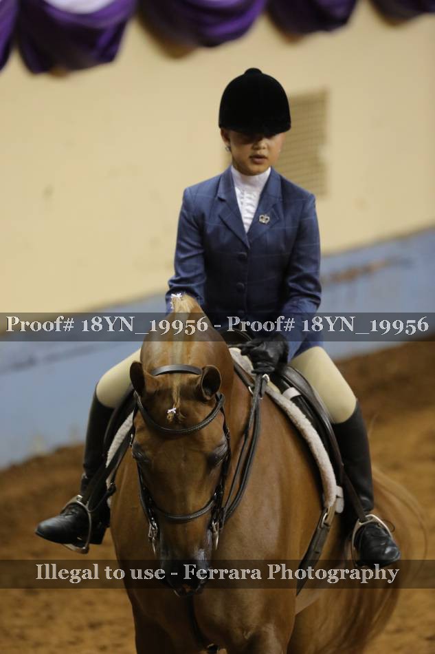 Proof Number 18YN_19956