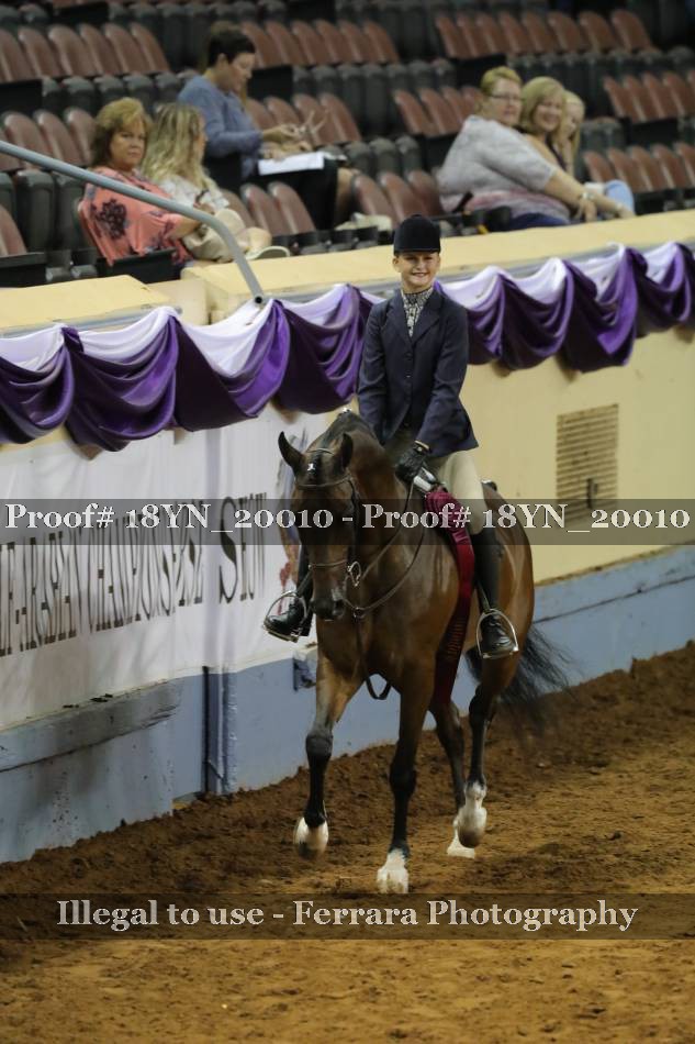 Proof Number 18YN_20010