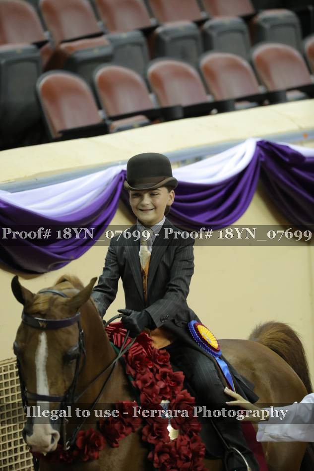 Proof Number 18YN_07699