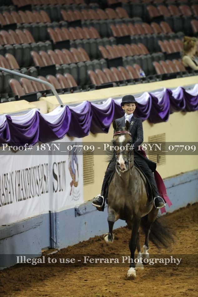 Proof Number 18YN_07709