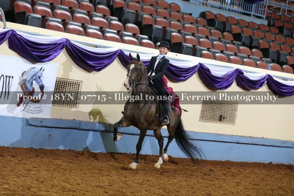 Proof Number 18YN_07715