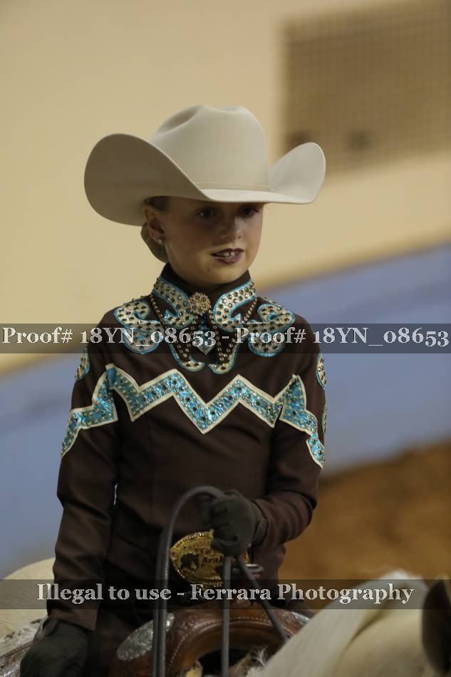 Proof Number 18YN_08653