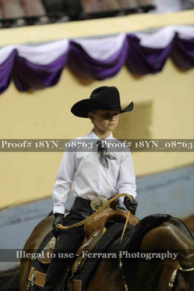 Proof Number 18YN_08763