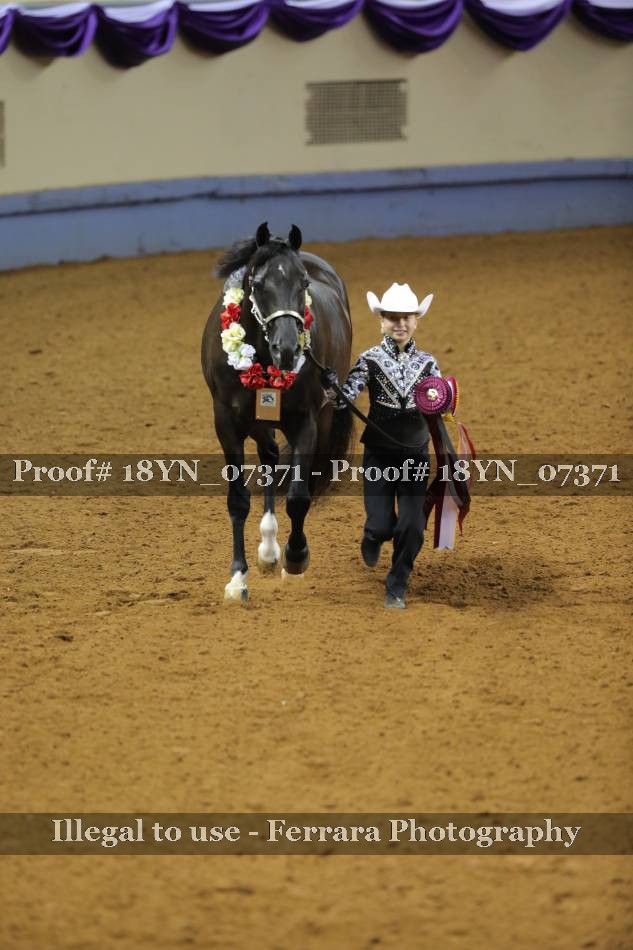 Proof Number 18YN_07371