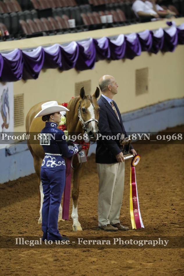 Proof Number 18YN_01968