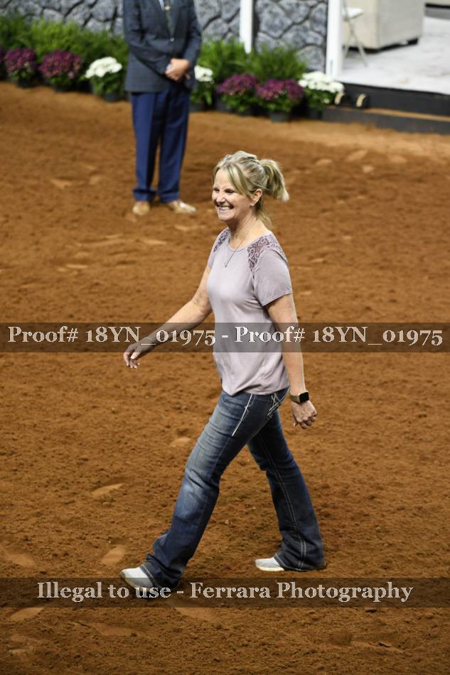 Proof Number 18YN_01975