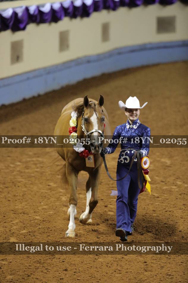 Proof Number 18YN_02055