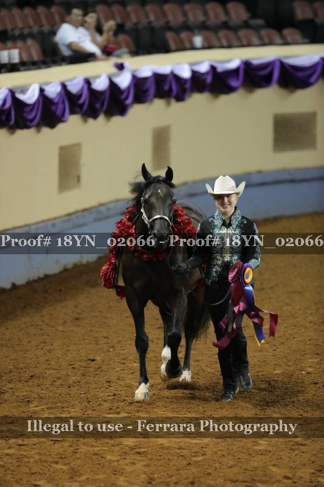 Proof Number 18YN_02066