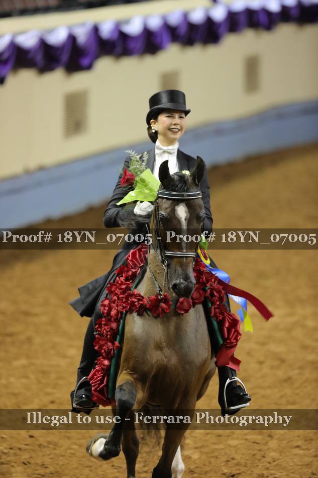 Proof Number 18YN_07005