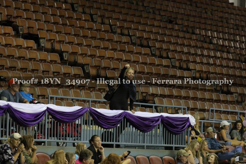 Proof Number 18YN_34907