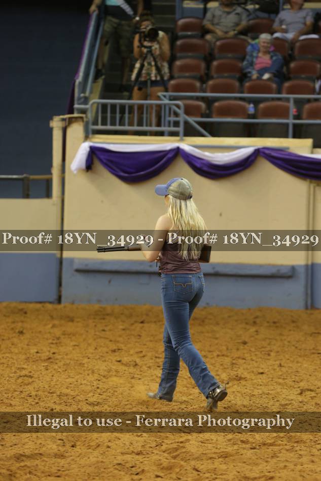 Proof Number 18YN_34929