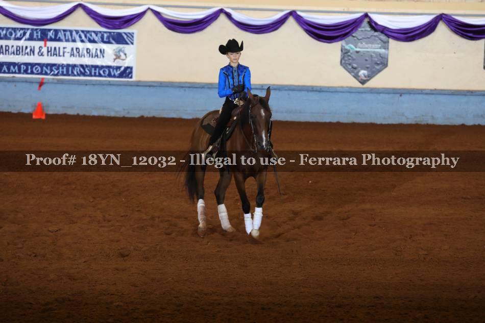 Proof Number 18YN_12032