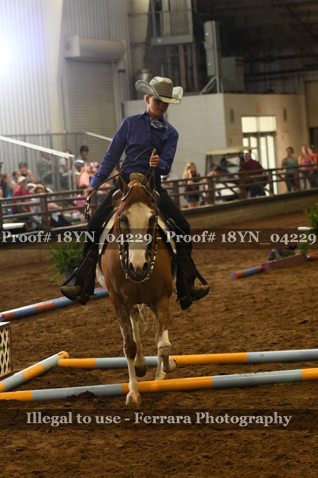 Proof Number 18YN_04229