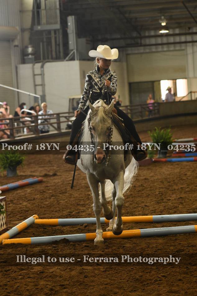 Proof Number 18YN_04235